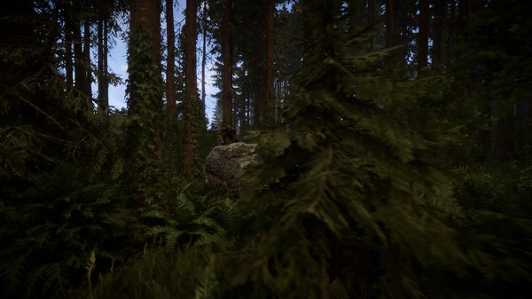 Sons Of The Forest Completion and Updates Hub